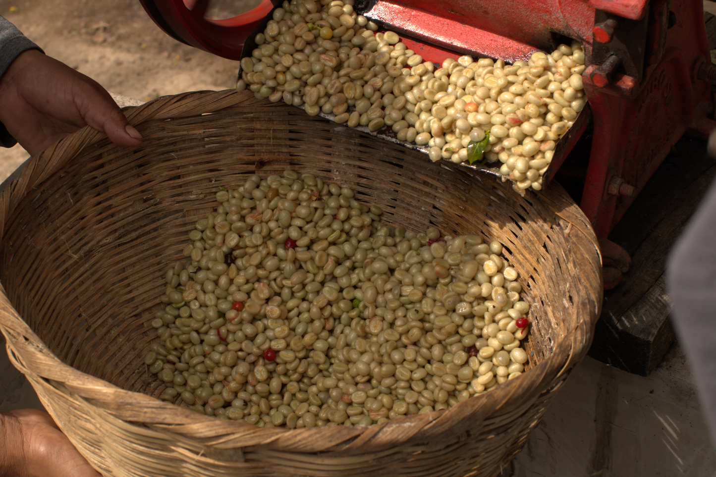 House Blend (1kg)