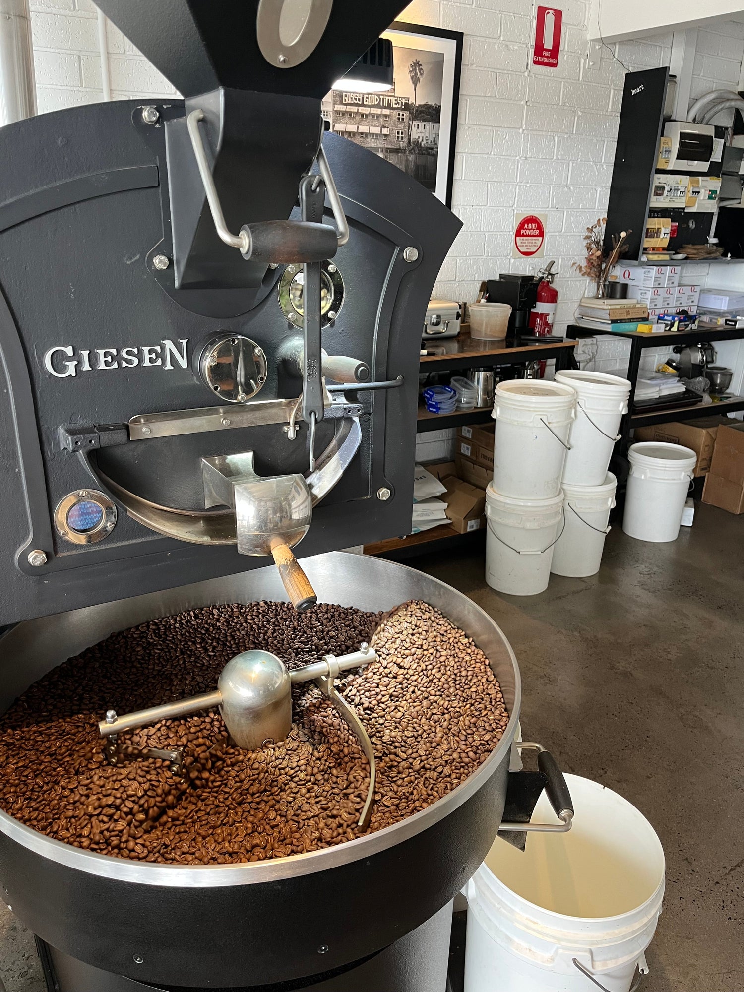 Coffee Beans
